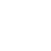 Twitter Link